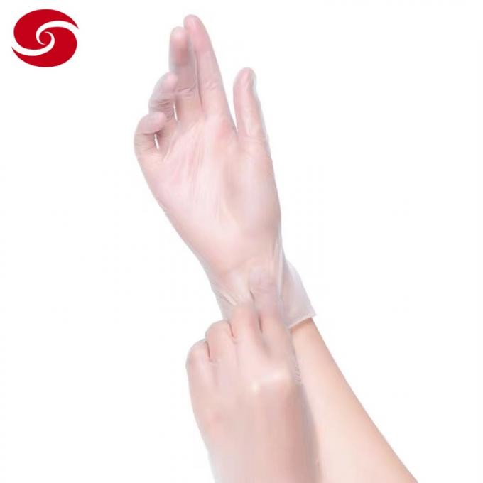Disposable Clear Safety Medical PVC Vinyl Examination Gloves